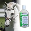 Healthy Haircare Shampoo Plus Pint [Misc.]