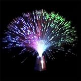 IMAGE OF Fiber Optic Centerpiece
