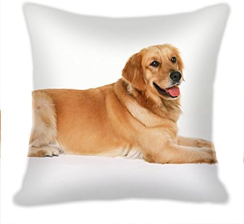 Bedding home decoration Labrador Retriever Burg Decorative Square Throw Pillow Covers Cute Dog Pillowcases [16" * 16",18" * 18",20" * 20",26" * 26"]