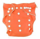 41hdKNKVCrL. SL160  Trend Lab Cloth Diaper, Orange with Blue Liner