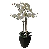 Laura Ashley 53¿ Orchid Arrangement