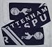 Tottenham Hotspur FC Scarf