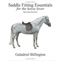 Saddle Fitting Essentials