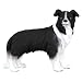 CollectA Border Collie_s-1