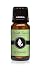 Rosemary Premium Grade Fragrance Oil - 10ml - Scented Oil