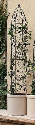 Black Leaves Dome Trellis - Large