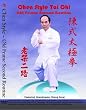 Chen Style Tai Chi Old Frame Second Routine