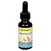 Willow/Garlic Oil 1 Ounces