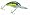 Clear Ghost Sexy Shad