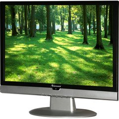 19 Widescreen LCD TV