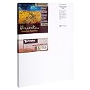 Masterpiece Vincent PRO 7/8" Deep, 24 x 40 Inch, Carmel Portrait Smooth Cotton Canvas