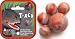 Mega Marbles - T-REX MARBLES NET (1 Shooter Marble, 24 Player Marbles & 2 Display Rings)