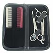 Gold Magic Shear/Comb Style Kit