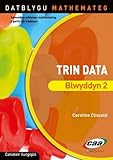 Trin data. Blwyddyn 2