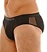 Emporio Armani Microfiber and Tulle Slip Basso Hip Brief 111121
