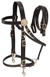 Supreme Leather Halter Bridle