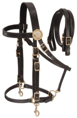 Supreme Leather Halter Bridle