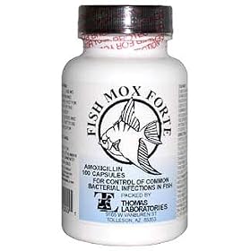 Fish Mox Forte 500 mg x 100 ct