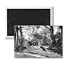 Children enjoy a rope swing - 3x2 inch Fridge Magnet - large magnetic button - Magnet
