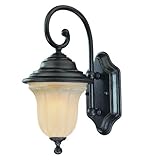 IMAGE OF 9270-68 - Dolan Designs Helena 1 Light Exterior Wall In Winchester 9270-68