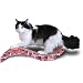 Medium Purrfect Stretch Cat Scratcher Pattern: Valentine A