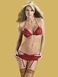 Lace Peek-A-Boo Stretch Bra Garterbelt Open Crotch Panty with Thigh Hi Stockings