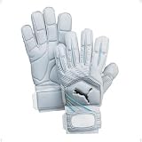 PUMA(プーマ) パワーキャット 1.10 グリップ アクアJ