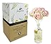 Penny & Rose Blush Rose Diffuser | Summertime Spirits Oil Scent