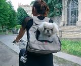 Petego Xpack pet carrier car seat backpack front carrier