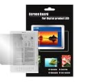 (2 Packs) Premium Clear Reusable LCD Screen Protector for Amazon Kindle DX 9.7 inch Wireless Reading Device + Fishbone Style Keychain