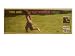 Kitchen & Housewares : Cat Power Poster You Are Catpower free