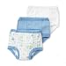 Gerber Brand Training Pant (in vinyl bag), 18 Months, Boy 2009
