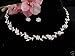 Bridal Wedding Bridesmaid Prom Jewelry Set Crystal Rose Vine in silvertone
