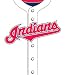 Turner MLB Cleveland Indians Stretch Book Covers (8190009)