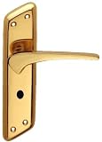 Neptune WC Lock Polished Brass