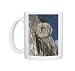 One of the stone hoops in the Great Ball Court (Gran Juego de Pelota), Chichen Photo Mugs