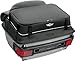 T-Bags Bag Flh Trunk 1 Lid Tb3310Bo