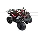 Trailrover 125CC ATV Red with Automatic Transmission