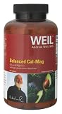 Weil Nutritional Supplements - Balanced Cal-Mag, 240 tablets Tablets tablets
