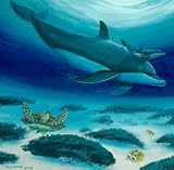 Painting with Wyland - Dolphin Reef (2 Hour Technique Workshop DVD)