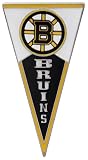 NHL Boston Bruins Pennant Pin