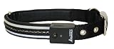 The Company of Animals Medium Vivid Dog Collar, Black