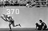 Rick Monday Saves The Flag Framed Photo 4x6