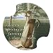 A Day in Paradise Carsters - Coasters for Your Car