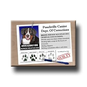 Bernese Mountain Dog Rap Sheet Fridge Magnet