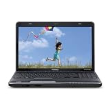 Toshiba Satellite A505-S6973 16.0-Inch Laptop - Black/Grey