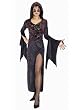 Dark Vixen Women's Gothic Halloween Costume Sorceress Classic Witch