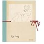 Henri Matisse: Erotic Sketches (Prestel's Erotic Sketchbook Series)