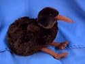 Plush Kiwi Bird 12"