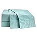 Clara Clark Premier 1800 Collection 100-Percent Microfiber Bamboo Embossed Bed Sheet Set, King Size, Aqua Light Blue